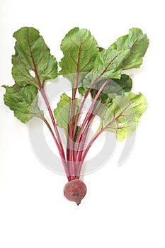 Red beet root with leaves isolated on white background. Healthy food concept.