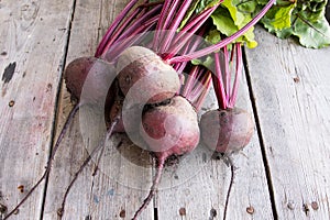 Red Beetroot with herbage green leaves on rustic background. Org