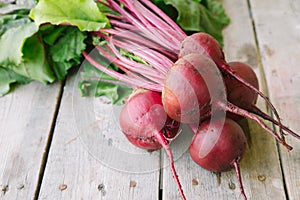 Red Beetroot with herbage green leaves on rustic background. Org