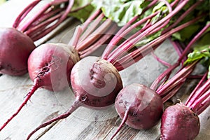 Red Beetroot with herbage green leaves on rustic background. Org