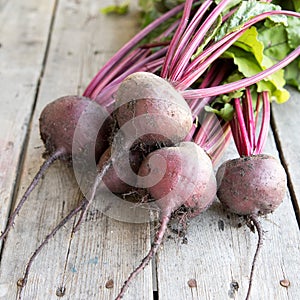 Red Beetroot with herbage green leaves on rustic background. Org