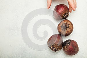 Red beetroots homegrown organic on white background, copy space