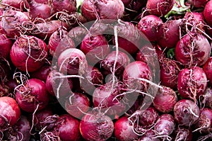 Red beets on display at the farmer's market