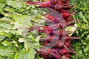 Red beets on display at the farmer's market