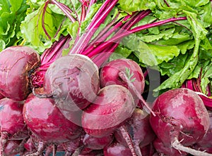 Red Beets