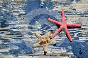 Red and beige sea star on wooden beach bench