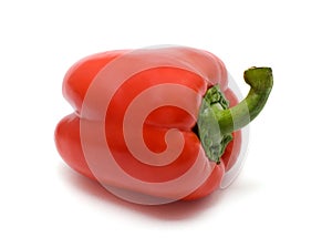 Red bel pepper photo