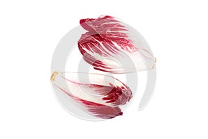Red Belgian Endive On White Background
