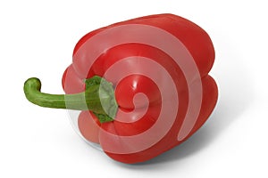 Red bell peper in horizontal position