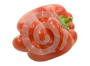 Red Bell Pepper