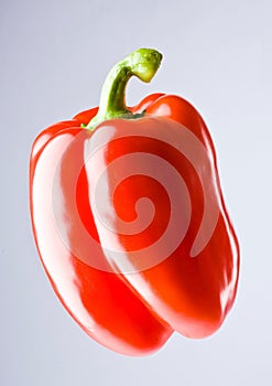 Red bell pepper