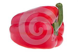 Red Bell Pepper