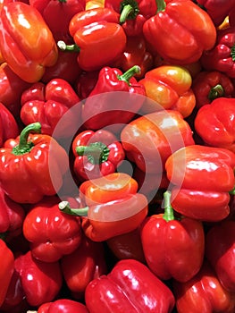 Red bell pepper background