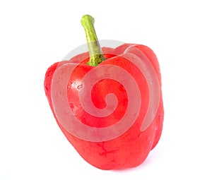 Red bell pepper (bulgarian pepper)