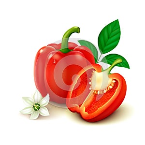 Red bell pepper (bulgarian pepper) on white background