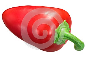 Red bell pepper c. annuum, paths