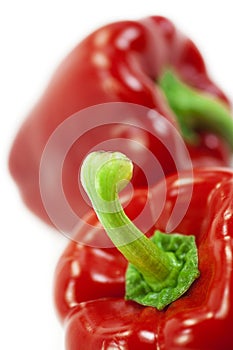 Red bell pepper closeup, selective focus