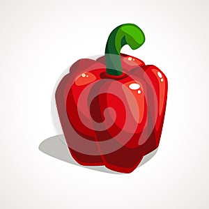 Red Bell pepper drawn illustration isolated on white background