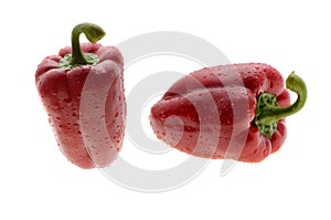 Red bell pepper isolated on a white background with water drops