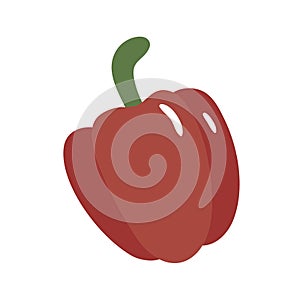 Red bell pepper isolated on white. Vector