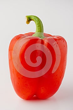 Red bell pepper or paprika isolated on a white background, for design