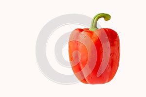 Red bell pepper or paprika isolated on a white background, for design
