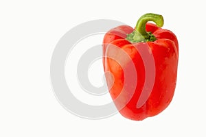 Red bell pepper or paprika isolated on a white background, for design