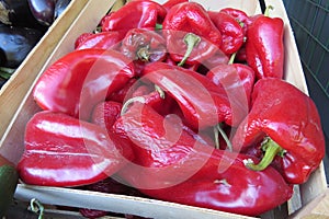 Red bell pepper. Red Bulgarian pepper