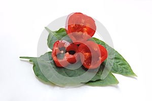 Red bell pepper sliced into pieces and a pair of green leaves , white background