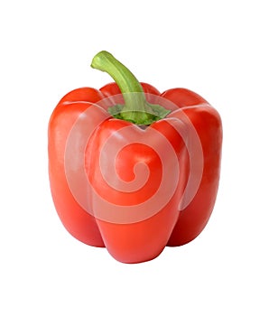 Red bell pepper on white background