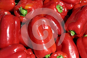 Red bell peppers photo