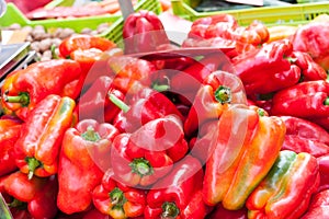 Red bell peppers also known as sweet peppers or capsicum for sale at Sineu market, Majorca