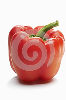 Red Bellpepper