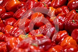 Red Bellpepper background