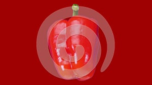 Red bellpepper spin in seamless loop - isolated, with alpha channel