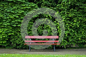 Red bench