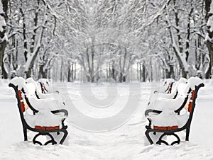 Red bench covered with snow