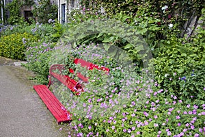 Red Bench in Flowers