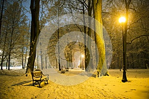 Red bench in the park
