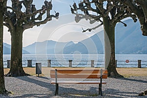 Red bench among plane trees overlooking Lake Ceresio in Bissone near Lugano on a sunny winter day. Canton Ticino. Switzerland