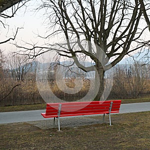 Red bench and tree
