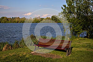 Red bench with a tree by the shore of a lake in spring
