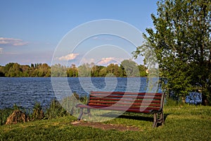 Red bench with a tree by the shore of a lake in spring