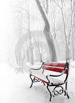 Red benches photo