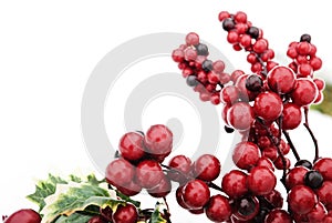 Red Berries