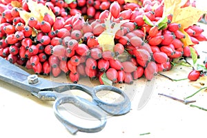 Red berries autumn craft decoration