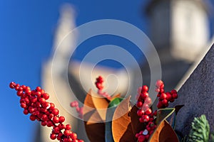 Red berries on a branch