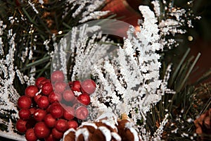 Red berries and branches of a Christmas tree under snow.