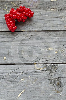 Red berries of Chinese Schisandra on background of wooden table