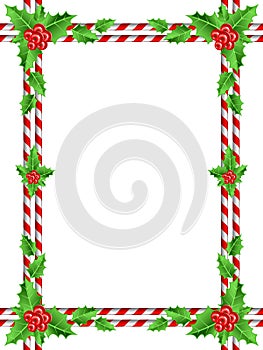 Red berries christmas border